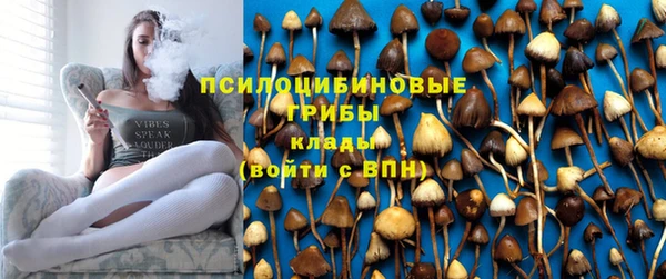 сатива Абинск