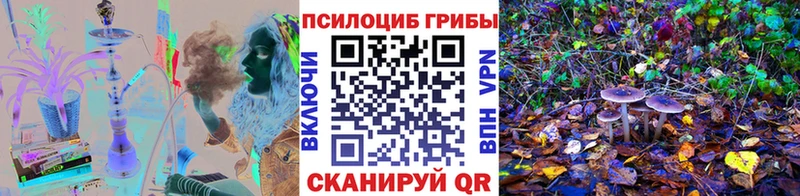купить наркоту  Элиста  Галлюциногенные грибы ЛСД 