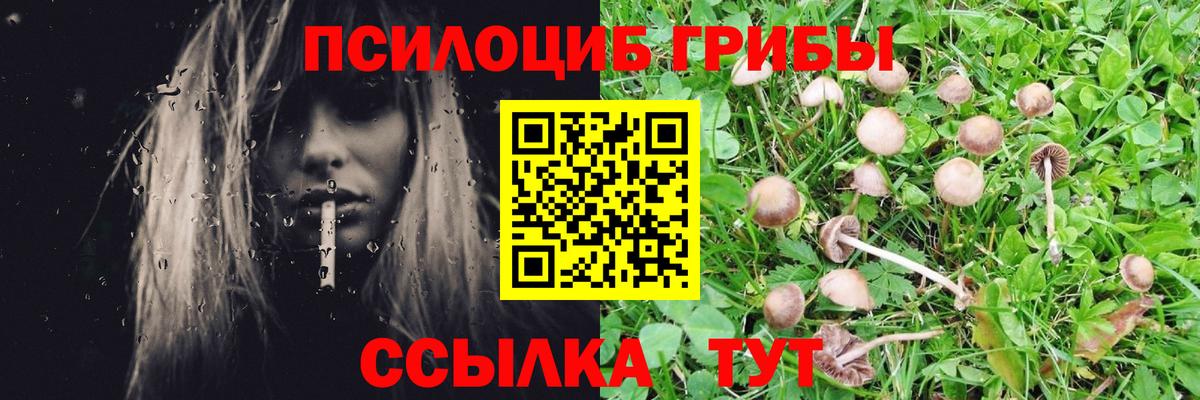 Галлюциногенные грибы GOLDEN TEACHER Элиста